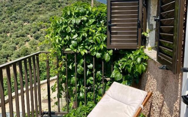 Studio Terrasse Vue Mer Clim Wifi Parking