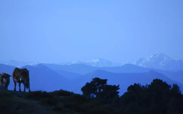 The Old Palace Tower / La Torre del Palación