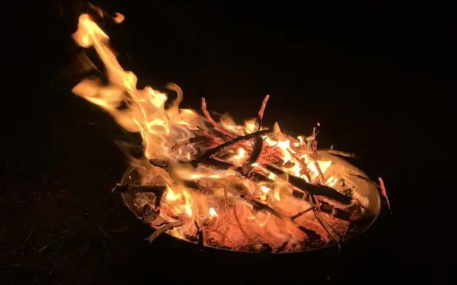 The Wildings Campsite