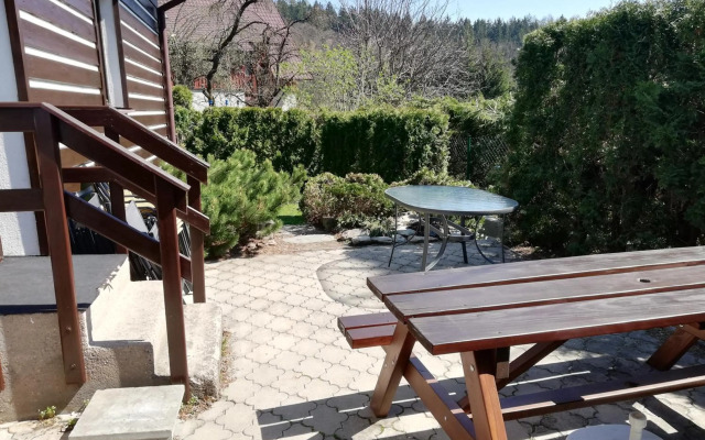 Vakantiehuis Cerny Dul 259