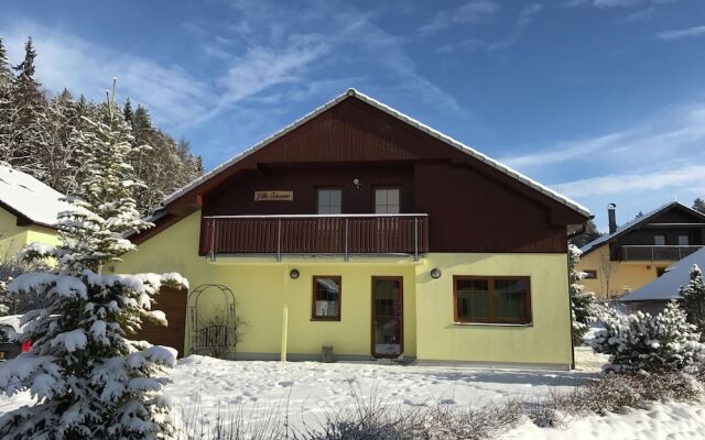 A Beautiful Villa at the Lipno Lake With ski Pistes at Walking Distance