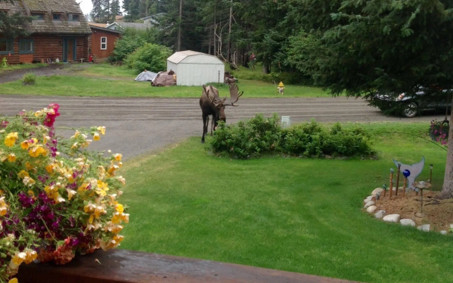 Fisherman's Tales Bed and Breakfast