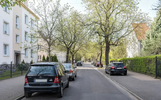 Sun & Snow Króla Jana Kazimierza