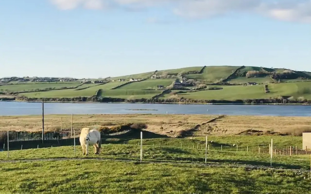 The Snuggly Sheep Shepherd Hut Campview Farm Stay