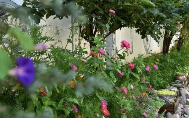 Shaxi Old Homestay
