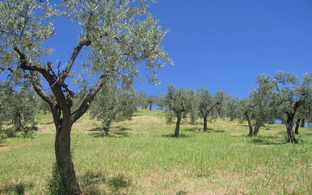 Il Sorriso Dei Monti
