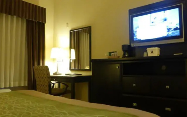 Comfort Inn & Suites Downtown