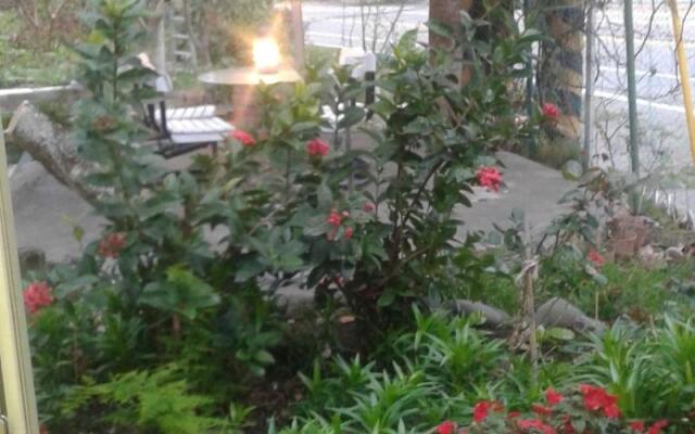 Taitung Linyuan B&B