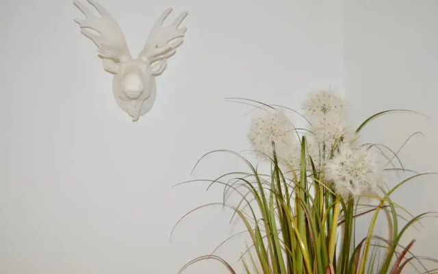 Modern And Central Flat In Roseburn Area