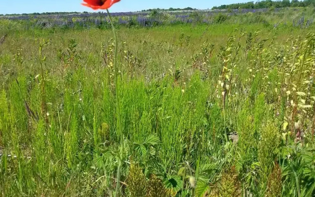 Holiday Home On Lenina 39