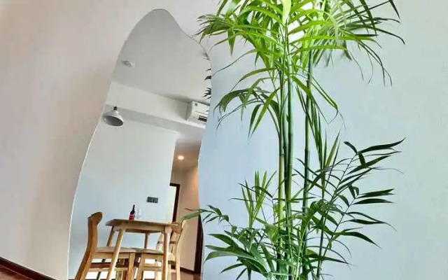 Homie's Apartment in D'Edge Thao Dien