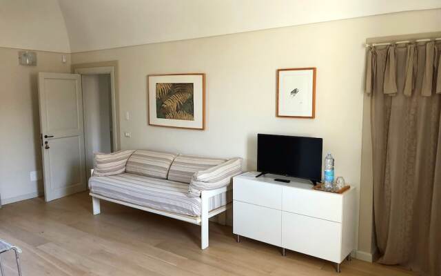 B&B Fraxinus Excelsior