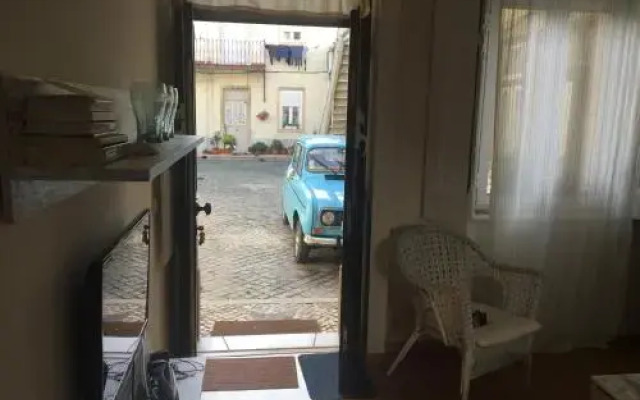 A Back Street Nest