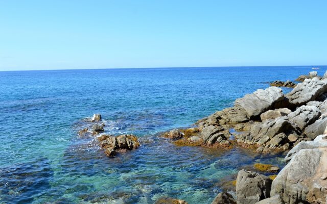 Appartement FRONT de MER