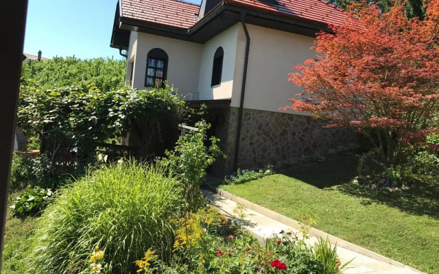 Wine & Nature & Tour