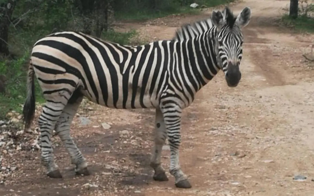 Oasis in the Wild @Marloth