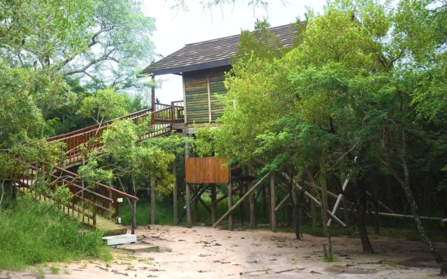 Pezulu Tree House Lodge