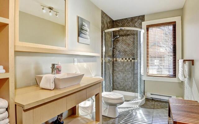 Chalets Alpins-08 Chemin Blanc