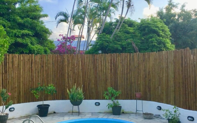 Antheia Ponta do Seixas