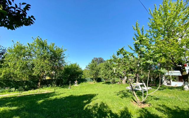 Maşukiye Home Suit Apart