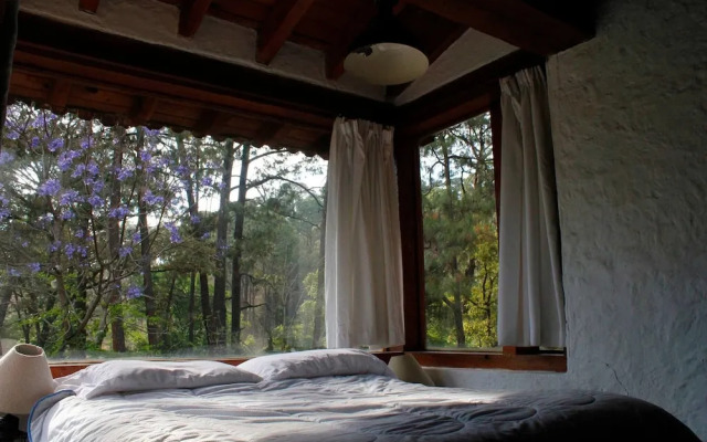Country House In The Woods With River