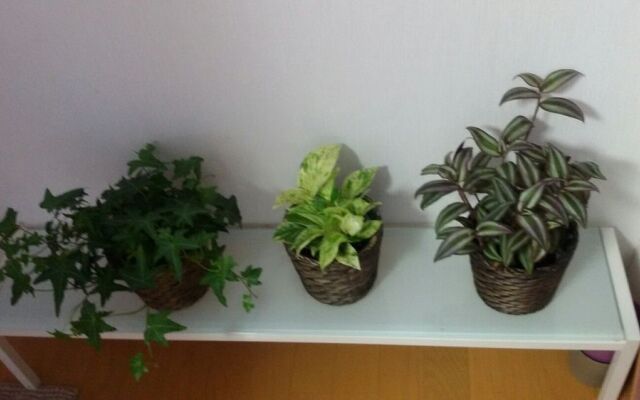 Yoko's House – Hostel