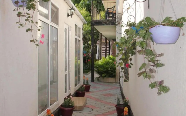 Maze Guest House