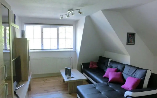 Adorable Aparment in Wildemann With Parking