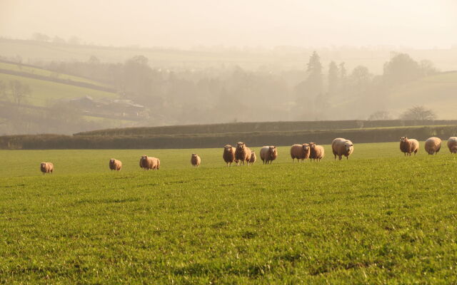 Brambles Bed and Breakfast