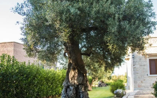 Villa Il Mio Paradiso