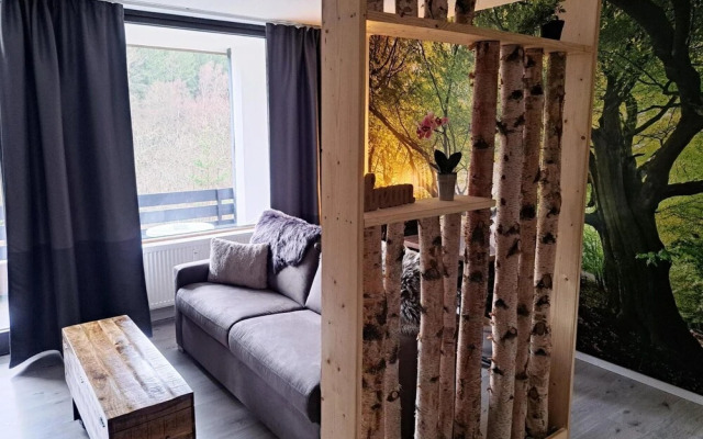 Studio in Winterberg Near Ski Slopes