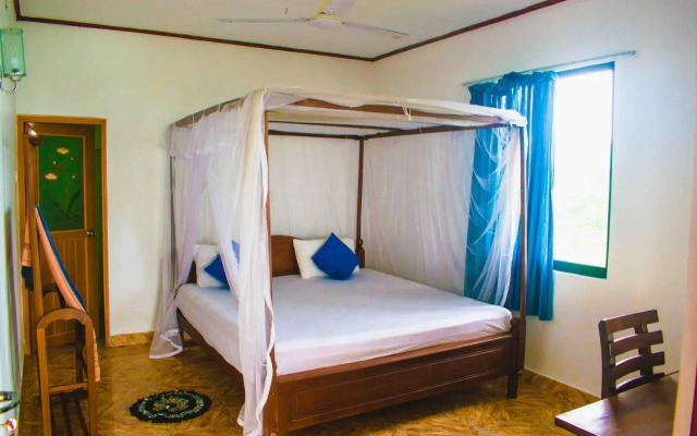 Surf Paradise & Cabana