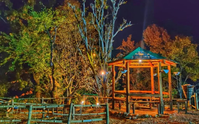 Monkey Mud Hostel And Camps