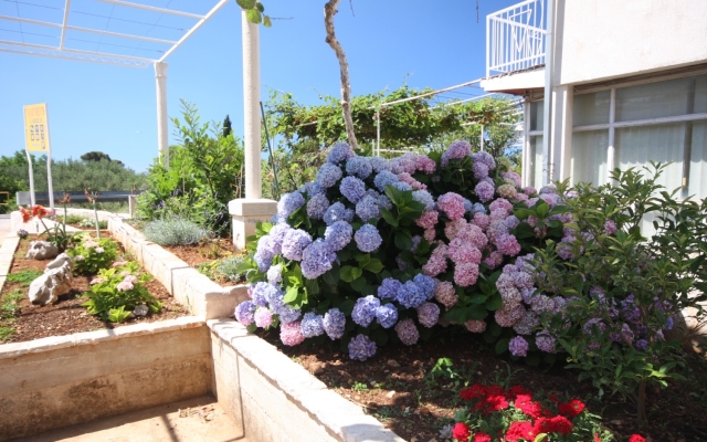 Room Nikola1 - free parking R4 Mlini, Riviera Dubrovnik