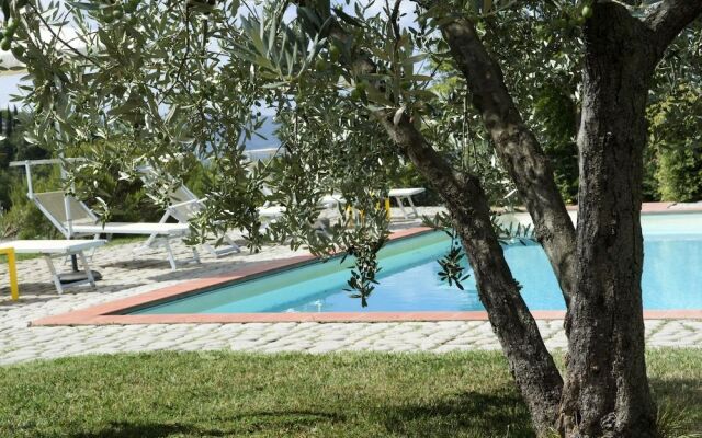 Agriturismo Il Bellini