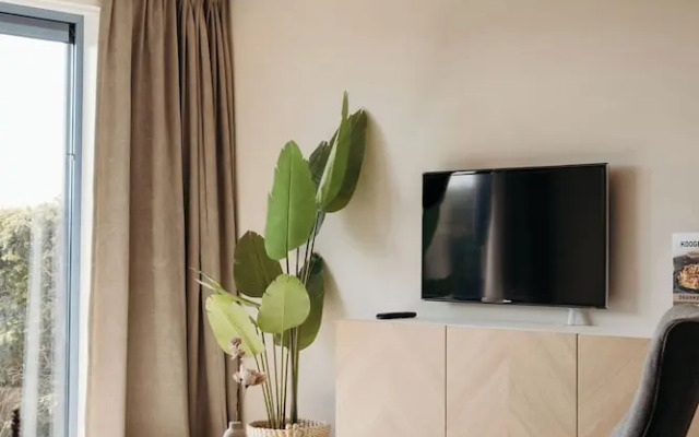 Apartment in Netherlands Near the Coast