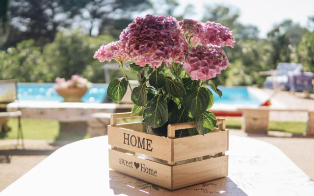 Poggio degli Oleandri