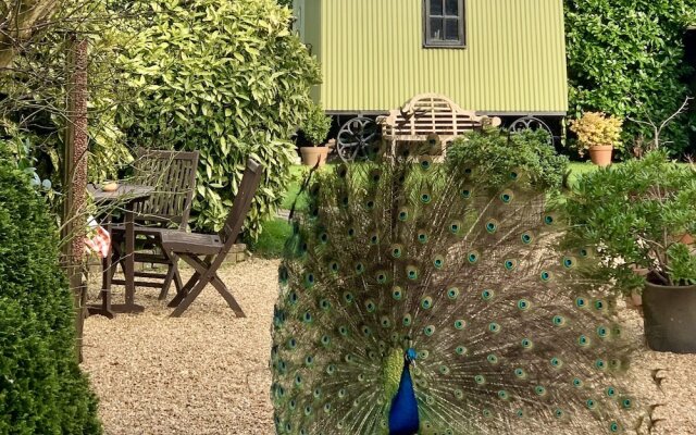 Ingoldfield Accommodation