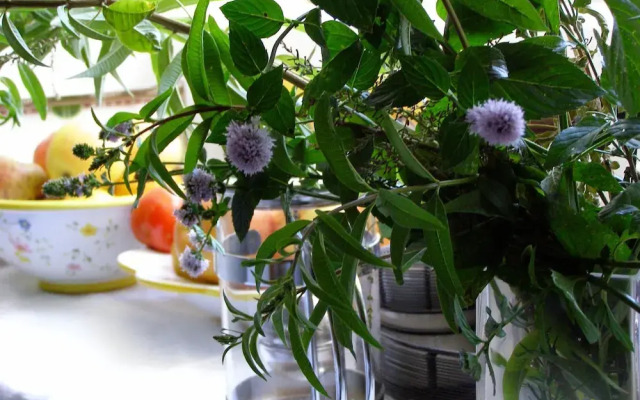 Rural Apartment in Parres Overlooking a Magnificent View