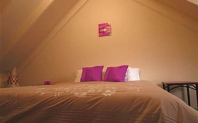 Barrington Wilderness Cedar Lodge Accommodation