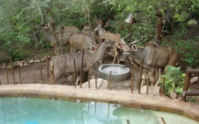 Marloth Kruger Accommodation