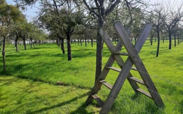 Orchard Farm Luxury Glamping