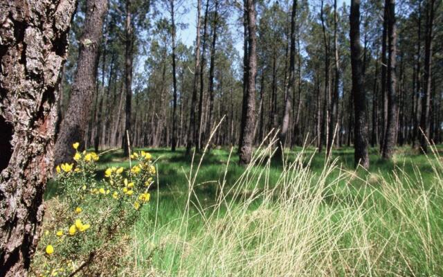 Gîte Mugron, 3 pièces, 4 personnes - FR-1-360-176