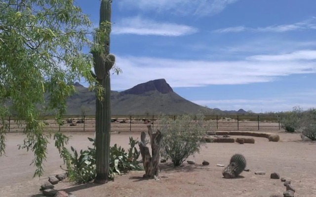 White Stallion Ranch