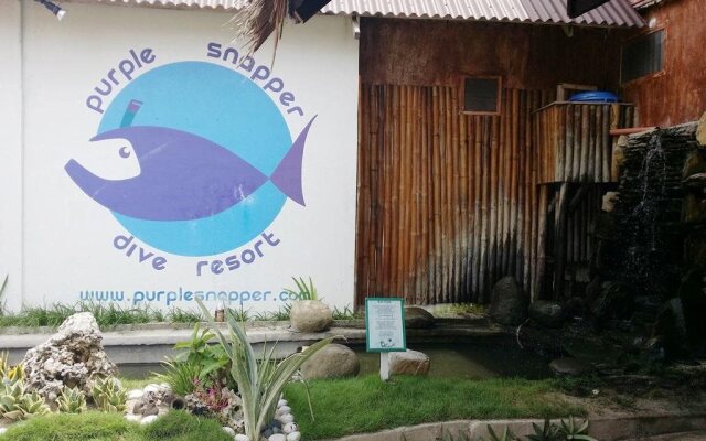 The Sharks Tail Dive Resort