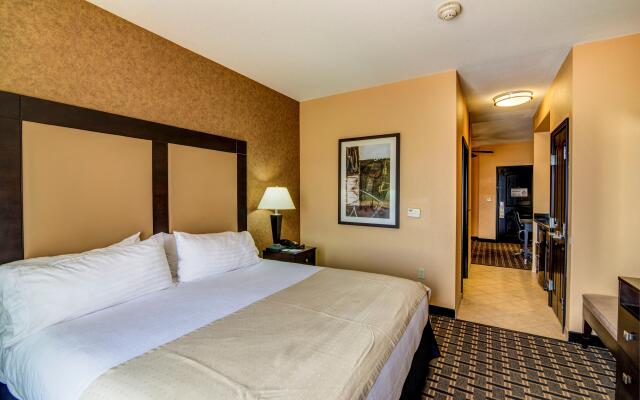 Holiday Inn Arlington NE-Rangers Ballpark by IHG
