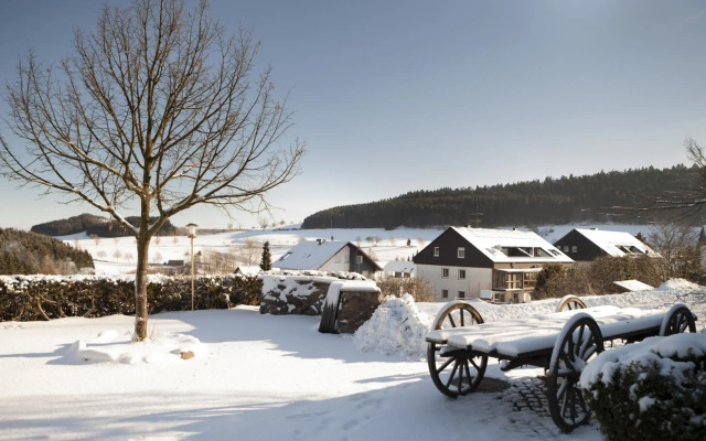 H+ Hotel Willingen
