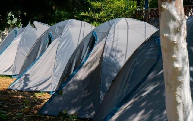 Social Camping JAL