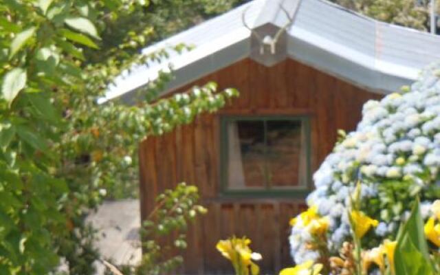 Blackberry Hill Farm