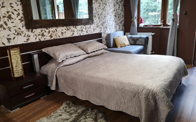 Studio Iceberg Borovets Студио с кухня